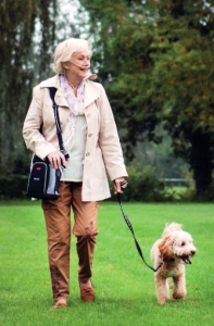 Tragetasche Tragehilfe f�r den tragbaren Sauerstoffkonzentrator Zen-O lite